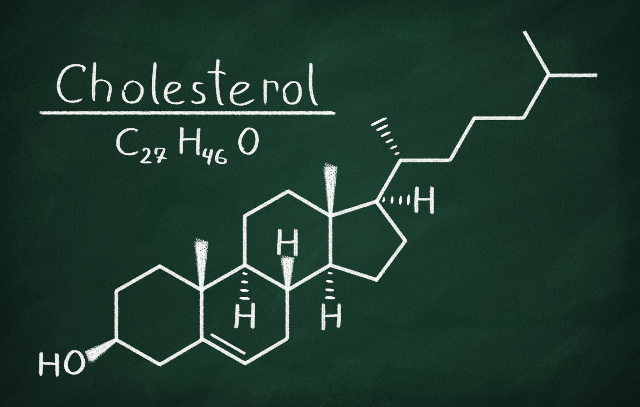 The Cholesterol Conspiracy