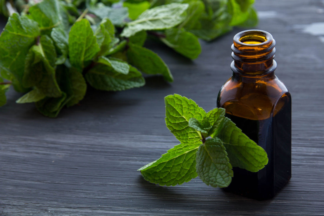 8 Medicinal Essential Oils to Keep On Hand